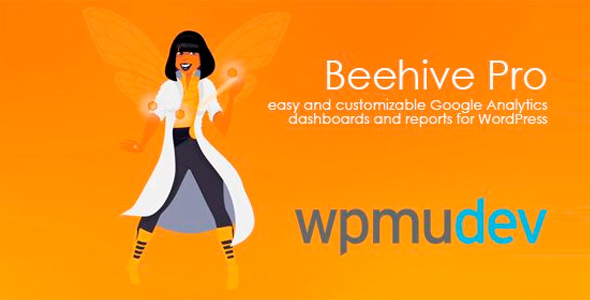 Beehive Pro Dashboards And Google Analytics Reports For WordPress 3.4.5 ...