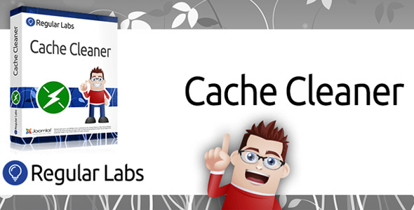 Cache Cleaner PRO