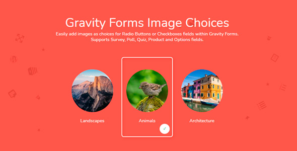 Gravity Forms Image Choices Add-On