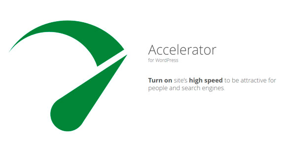 Seraphinite Accelerator (Full, Premium)